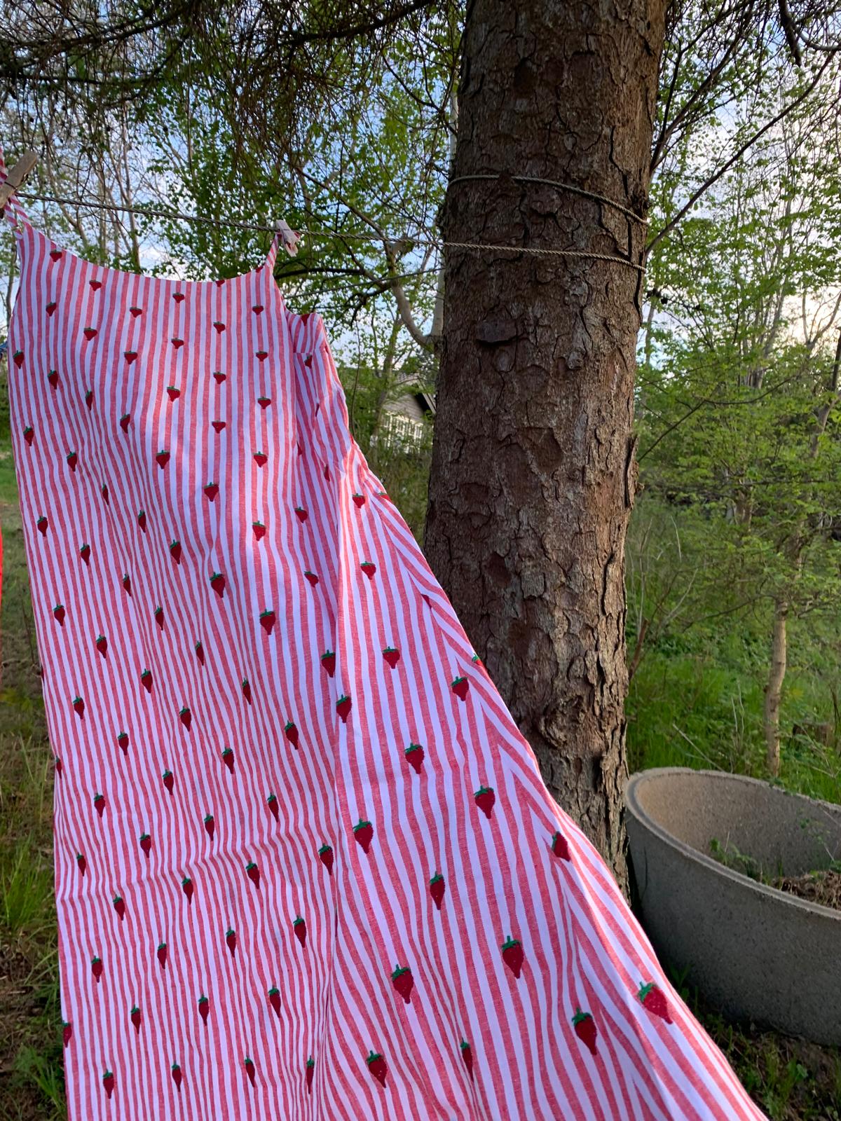 Helmstedt LEVA DRESS Dresses Red Stripe w Strawberry Emb